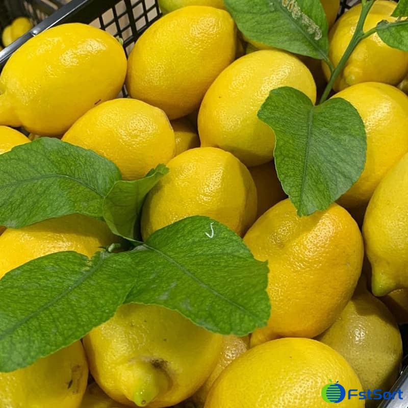 images/1671524507419lemon Chile.jpg